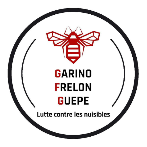 Garino Frelons Guêpes