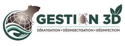 GESTION 3D