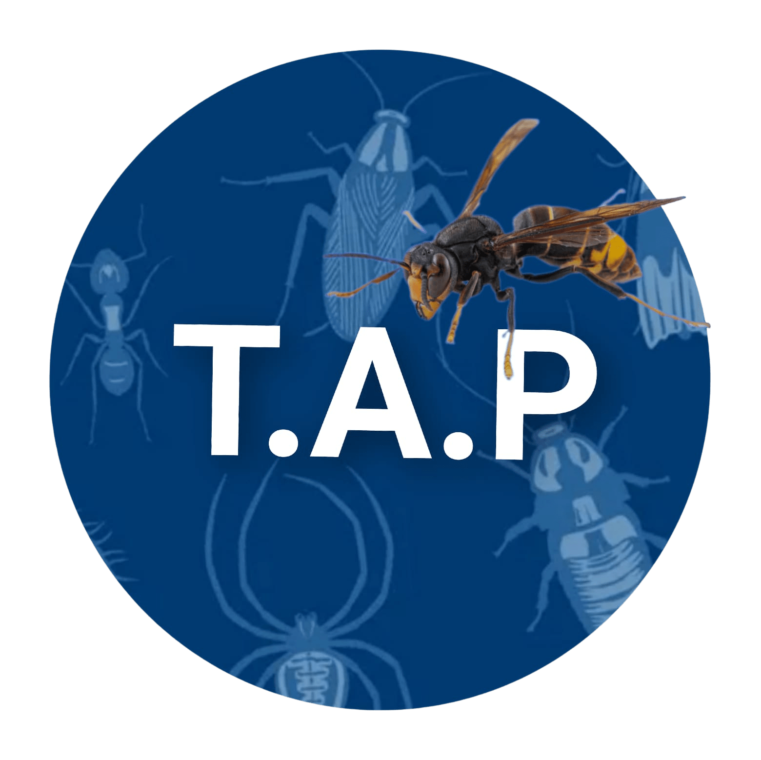 TAP FRANCE