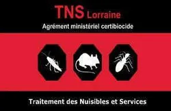 TNS Lorraine