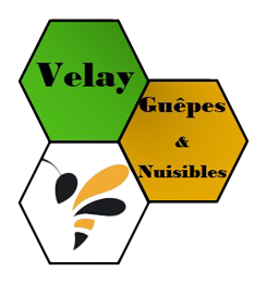 Velay Guêpes & Nuisibles